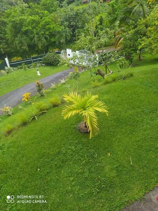 Appartement L'hibiscus By Nid'Ouest - Grand T3 - Parking privé à Le Lamentin